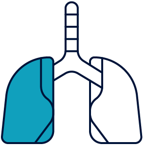 Other Medical Specialists